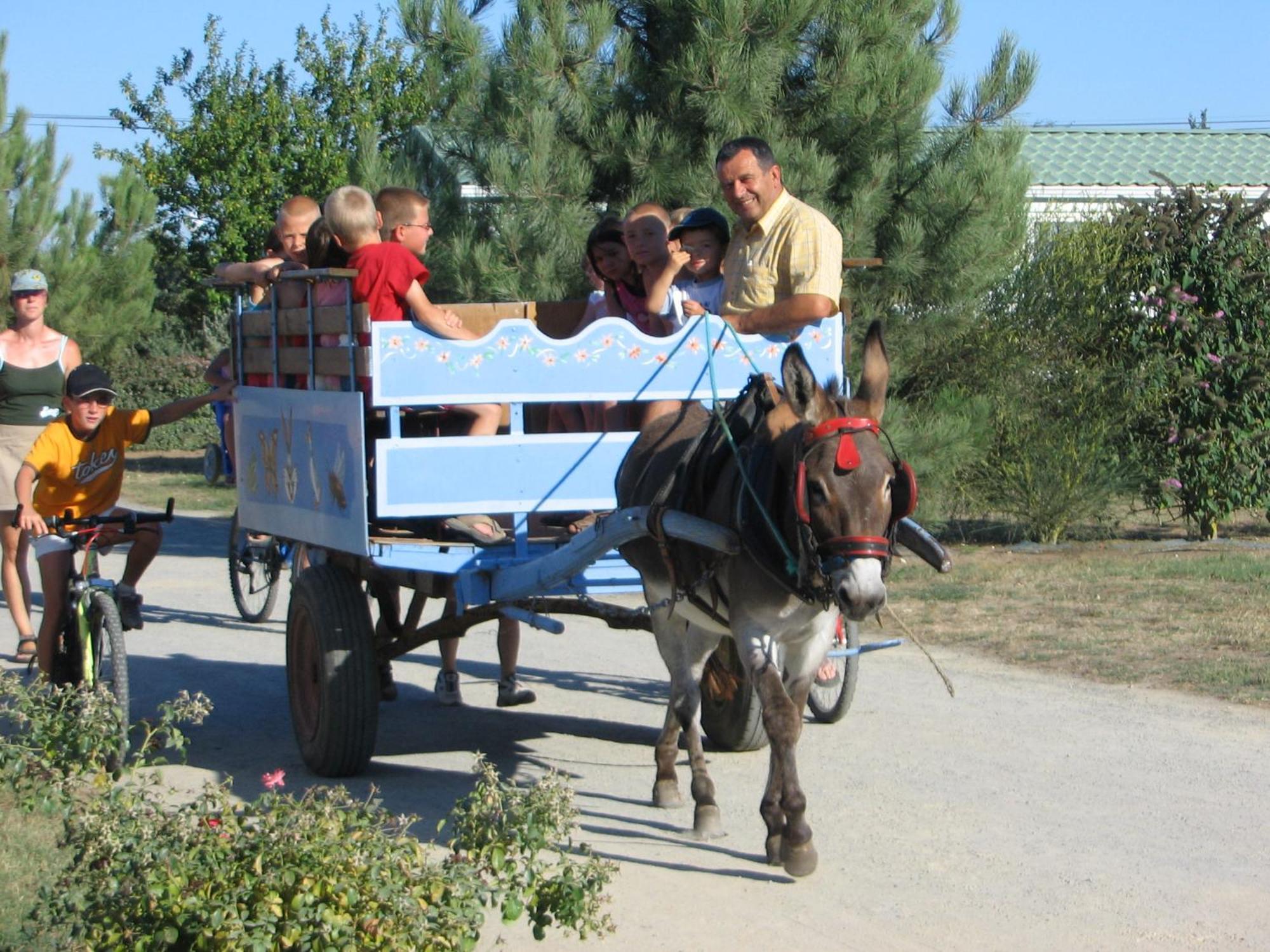Camping Le Ragis Challans Buitenkant foto